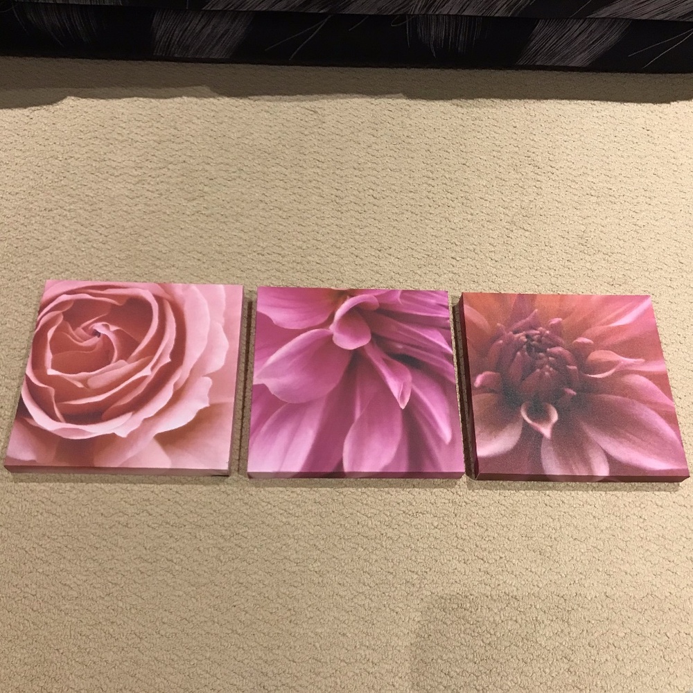 Floral Canvas Prints (Set of 3)